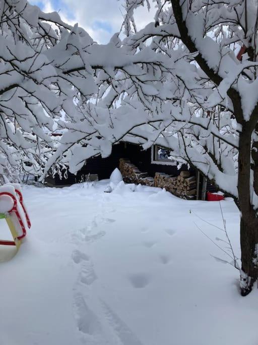 Utulna Chaloupka Na Valassku Valašská Bystřice Dış mekan fotoğraf